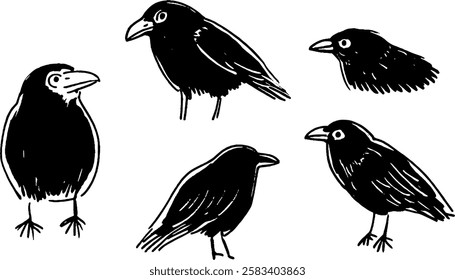 A collection of five stylized black bird illustrations, showcasing different poses and angles. The birds have distinct features like beaks and feathers, rendered in a simple, artistic style.