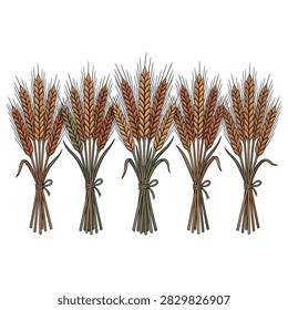 A collection of five stylized wheat sheaves tied with rustic twine on a white background representing a bountiful harvest or agricultural theme