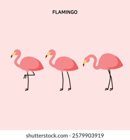 Collection of flamingo illustrations in various poses