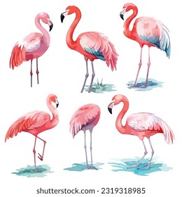 Collection of flamingos, vector flamingos, watercolor illustration, isolated on whiye background