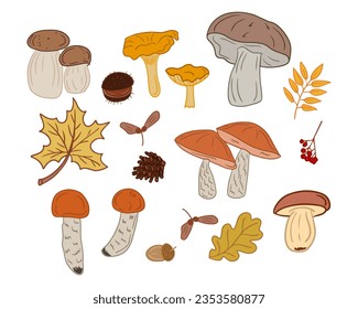 Collection of flat colored autumn mushrooms and seeds. Vector hand drawn isolated elements on white background. Leaves, seeds and wild fungus. Perfect for stickers, pattern, wrapping paper