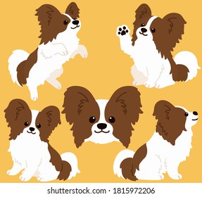 Collection of flat colored brown and white Papillon illustrations