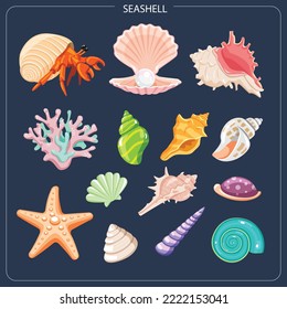 Colección de conchas de conchas llanas y coloridas. Proyectores vectoriales en estilo de dibujos animados, ilustración vectorial.