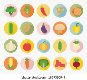 a collection of flat design vector sets of various types of vegetables that have various colors