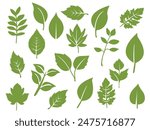 A collection of flat green leaves, beautifully illustrated against a white background. Ideal for nature-themed designs and botanical projects.