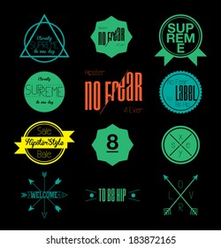 Collection of flat green summer style Vector Vintage hipster Labels