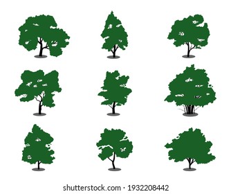 Collection of flat trees Icon. Can be used to illustrate any nature or healthy lifestyle topic.