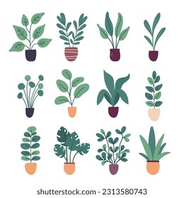 Collection of flat vector house plants isolated on white background