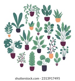 Collection of flat vector house plants isolated on white background