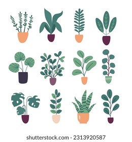 Collection of flat vector house plants isolated on white background