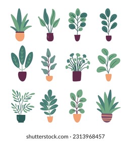 Collection of flat vector house plants isolated on white background