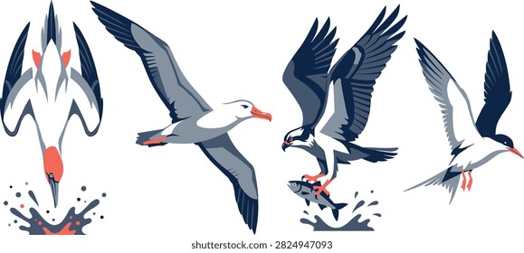 A collection of flat vector illustrations depicting various seabirds in dynamic poses including diving, soaring, and catching fish. These graphics are ideal for environmental education, coastal branding, and nature-themed editorial designs.

