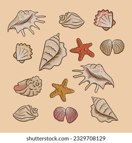 Collection of flat vector seashells. Sea or ocean elements composition. Isolated seashells and starfish on sand background. Perfect for stickers, tatoo, pattern, background, wrapping paper