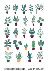 Collection of flat vector trendy potted plants isolated on white background