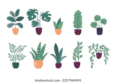 Collection of flat vector trendy potted plants isolated on white background