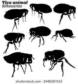 Collection of flea animal silhouettes