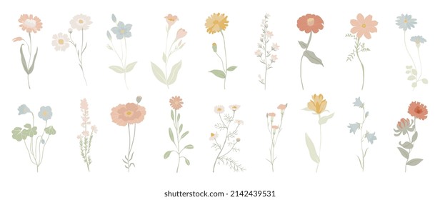 Sammlung von Blumen und botanischen Elementen. Blätter, Blattblumenpflanzen, Pflanzen, Blüten, Blätter und Kräuterpflanzen. Handgezeichnet von blühenden Frühlingsvektoren für Dekoration, Website, Hochzeitskarte und Shop.