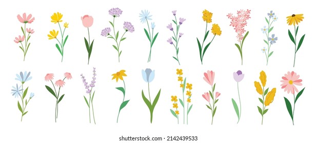Colección de elementos florales y botánicos. Conjunto de hojas, flores silvestres folclóricas, plantas, florecimiento, hojas y hierba. Dibujo manual de los vectores de la temporada primavera floreciente para decoración, sitio web, tarjeta de boda y tienda.
