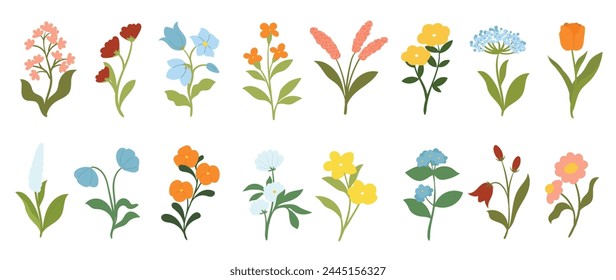 Colección de Elementos florales y botánicos. Conjunto de hojas, follaje, flores silvestres, plantas, flor, hojas y hierba. Dibujado a mano de los Vectores de la temporada de primavera de la flor para la decoración, el Sitio web, la tarjeta de boda y la tienda.