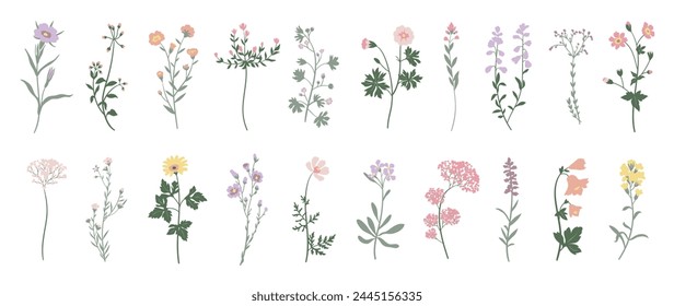 Collection of floral and botanical elements. Set of leaf, foliage wildflowers, plants, bloom, leaves and herb. Hand drawn of blossom spring season vectors for decor, website, wedding card and shop.