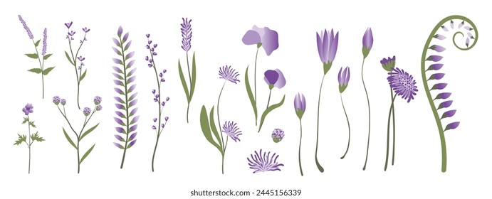 Colección de Elementos florales y botánicos. Conjunto de hojas, follaje, flores silvestres, plantas, flor, hojas y hierba. Dibujado a mano de los Vectores de la temporada de primavera de la flor para la decoración, el Sitio web, la tarjeta de boda y la tienda.