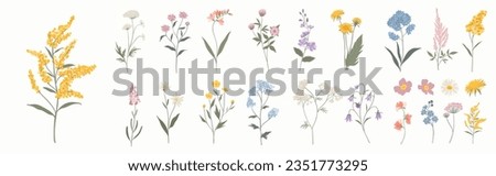 Collection of floral and botanical elements. Set of leaf, foliage wildflowers, plants, bloom, leaves and herb. Hand drawn of blossom spring season vectors for decor, website, graphic and shop.