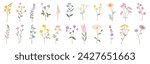 Collection of floral and botanical elements vector. Set of leaf, foliage wildflowers, plants, bloom, leaves and herb. Hand drawn of blossom spring season vector for decor, website, graphic and shop.