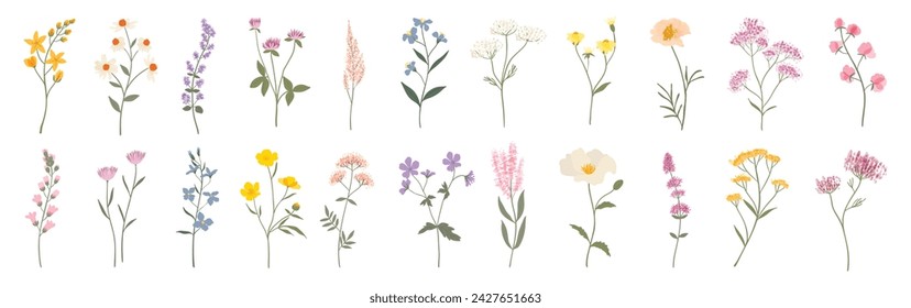 Collection of floral and botanical elements vector. Set of leaf, foliage wildflowers, plants, bloom, leaves and herb. Hand drawn of blossom spring season vector for decor, website, graphic and shop.