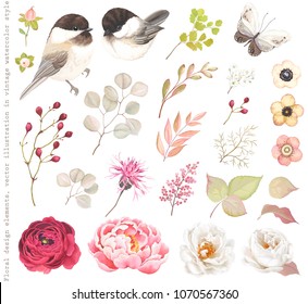 Collection floral design elements with birds Black-capped Chickadee, flowers Roses, Peony, flying butterfly, berries, branches and leaves. Vector illustration in vintage watercolor style.