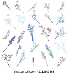 Collection of floral design elements,  texture for fabric, packaging, textile, wallpaper, clothes