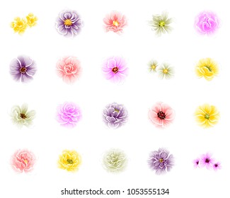 Collection of floral elements