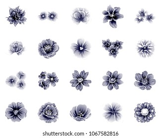 Collection of floral elements