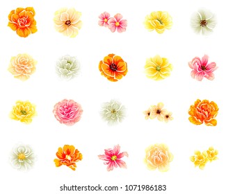 Collection of floral elements