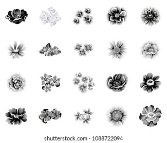 Collection of floral elements