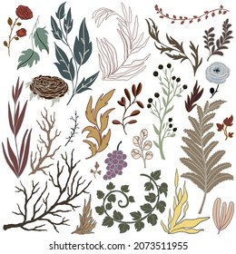 Colección de elementos florales. Flores decorativas decoradas en un estilo gótico vintage. Ilustración del vector