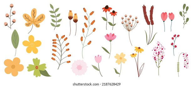 Collection of floral elements in flat color. Set of spring and summer wild flowers, plants, branches, leaves and herb. Hand drawn of blossom vectors for decor, website, graphic and shop.