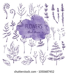 Collection of floral elements  with flower and leaves. Vector hand drawn illustration