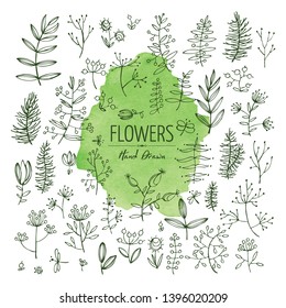 Collection of floral elements: flower and leaves. Vector hand drawn illustration