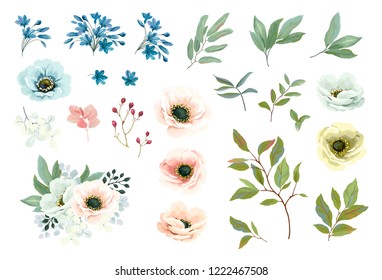 Collection of floral elements, flowers Anemones, blue Agapanthus, green leaves and branches. Floral template for your wedding, greeting or invitation design. Vector illustration in vintage style. svg