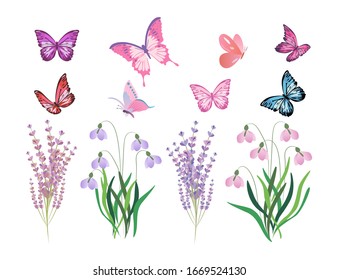 Collection of floral elements with flying butterflies, rose-hip, leaves and forget-me-not, vector illustration.