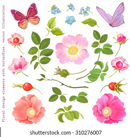 Collection of floral elements with flying butterflies, rose-hip, leaves and forget-me-not, vector illustration.