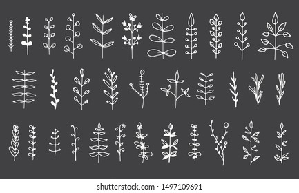 Collection of floral elements isolated on black background. Hand drawn leaves for your design.