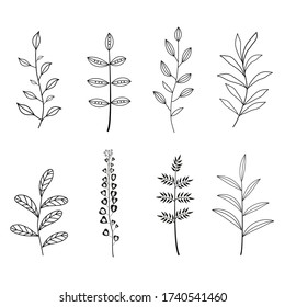 Collection of floral elements. Vector illustration