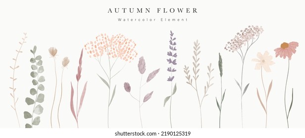 Collection of floral elements in watercolor. Set of autumn wild flowers, plants, branches, leaves and herb. Hand drawn of fall season blossom garden vectors for decor, website, graphic, decorative