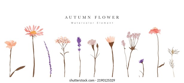 Collection of floral elements in watercolor. Set of autumn wild flowers, plants, branches, leaves and herb. Hand drawn of fall season blossom garden vectors for decor, website, graphic, decorative