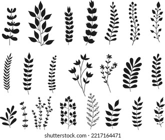 Collection of floral leaf Flowers elements isolated vector Silhouettes