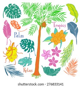 Collection of floral tropical elements on white background. Palms, leaves, fruit, flowers, nuts. Text, Palm, Tropic, Relax.