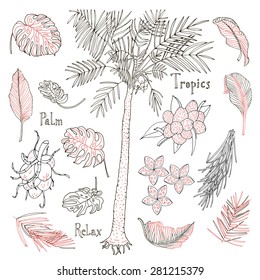 Collection of floral tropical elements. Red on white background. Palms, leaves, fruit, flowers, nuts. Text, Palm, Tropic, Relax. Vintage card.