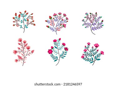Collection of Flower Flat Design White Background
