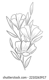 collection of flower graphics black and white illustration set elements. Vector illustaration